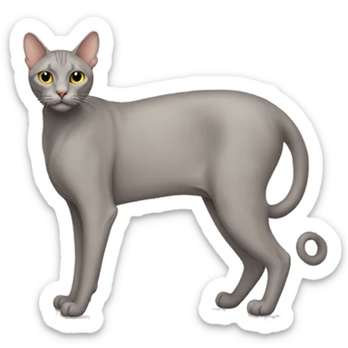 A full-body view of a large, hairless cat sticker