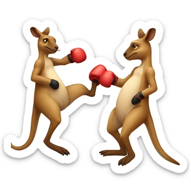 Kangaroo boxing ￼ sticker