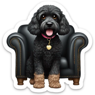 Cockerpoo sat on black sofa sticker