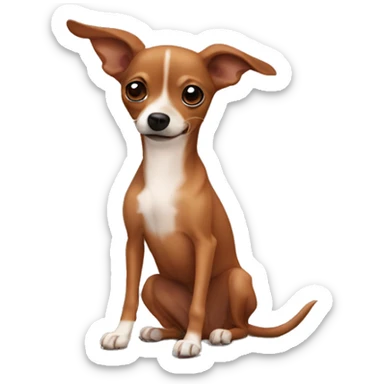 Reddish brown chihuahua whippet mix sticker