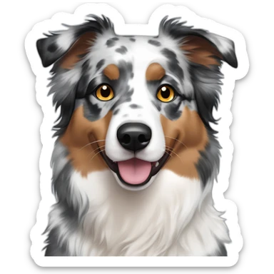 Grey black white Blue Merle Australian shepherd with heterochromia sticker