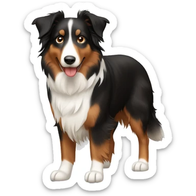 Dog similar to collie or australian shepard black and brown  sticker