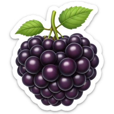 black berry sticker