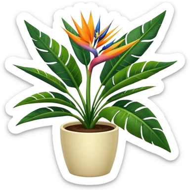 Bird of paradise leafy plant in cream pot no white between leaves sticker