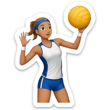 Voley sticker