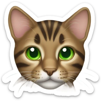 Brown tabby cat with green eyes sticker