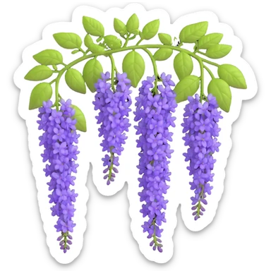 Realistic hanging wisteria racemes with detailed grape-like clusters of lavender flowers cascading downward, accompanied by light green compound leaves sticker