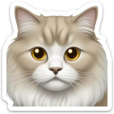 Tan and white Persian cat with tan colored ears and white face and golden eyes  sticker