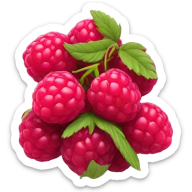 Rasberry sticker