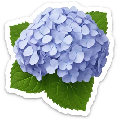 Hydrangea sticker