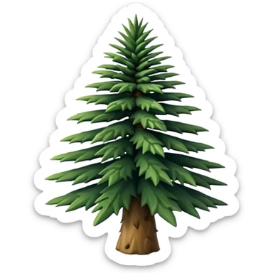 Patagonian araucaria pine sticker