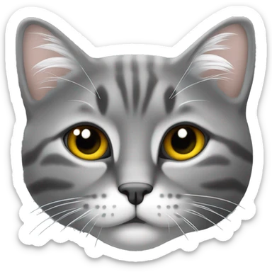 Chat gris foncé avec tête grise museau blanc, cou blanc, début des pâtes blanches  sticker
