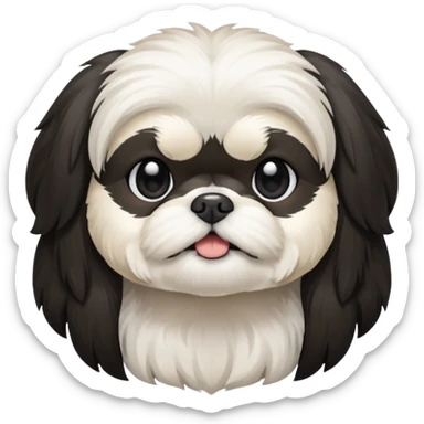 Black and white shih tzu

 sticker