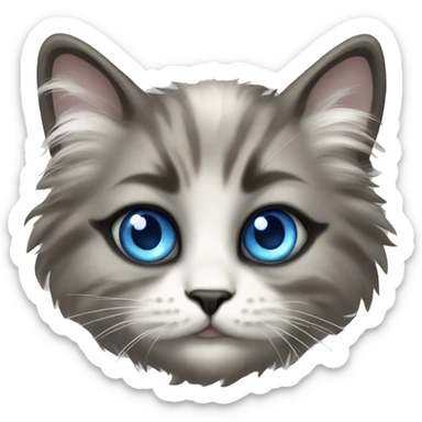 Nevsky masquerade fluffy cat with blue eyes sticker