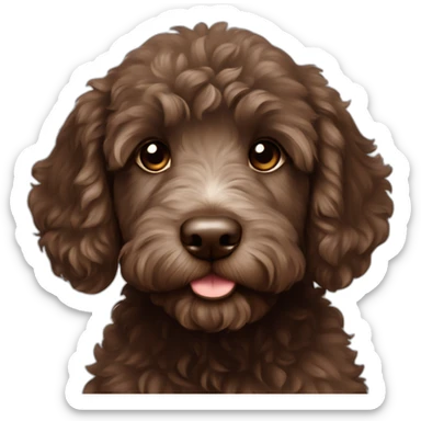 Dark brown Australian labradoodle puppy sticker