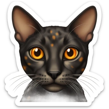 skinny dark tortoiseshell cat with orange eyes and a cream colored marking above its mouth sticker