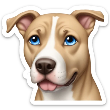 Blonde brown pitbull husky with blue eyes  sticker