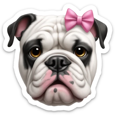 English bulldog that is black and white with a pink bow sticker