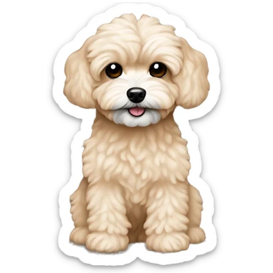 skin color maltipoo sticker