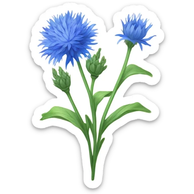 Cornflower plant  sticker