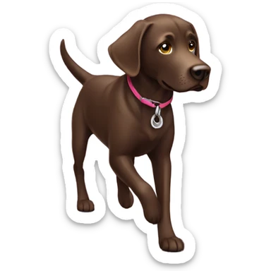 One Chocolate lab,walking,leash sticker