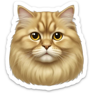 young gold long hair persian cat sticker