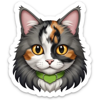 Maine coon black silver tortie et blanc avec une grosse tache noir sur un côté de la tête  sticker