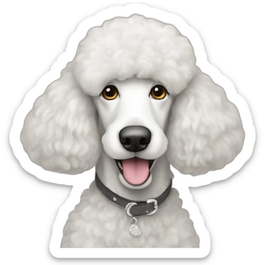 White standard poodle sticker