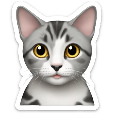 Domestic short hair cat grey black sticker