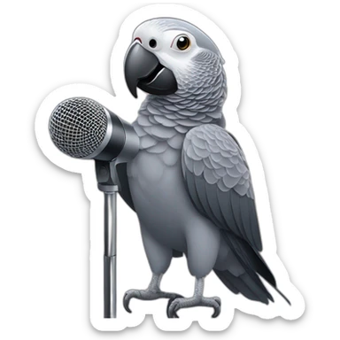 African grey parrot with microphone sticker