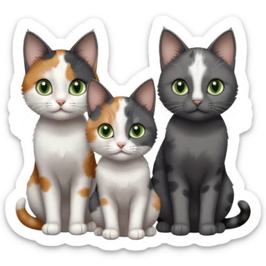 3 different coloured small cats including a dark grey and white, and a patchy calico with hazel eyes and a completely solid dark grey with green eyes and only white paws sticker