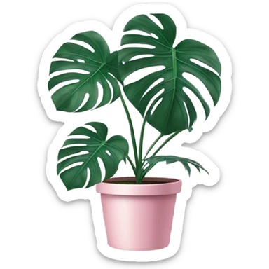 violet color Monstera flower in a pink-colored pot sticker