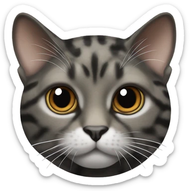 tortoise shell cat with white ginger black grey fur  sticker