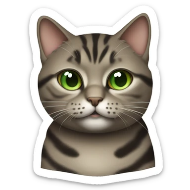 very fat brown and grey and black tabby cat with green eyes sticker