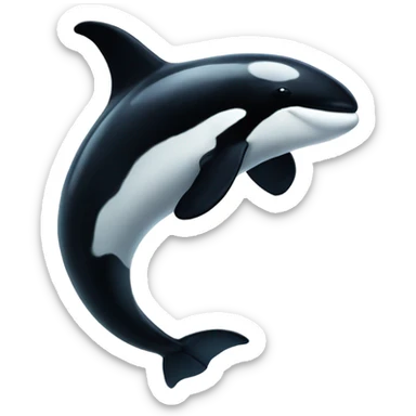 Killer whale sticker