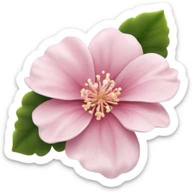 pink flower  sticker