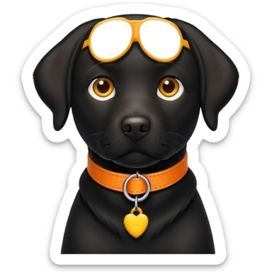 1 black labrador with yellow collar, 1 black labrador with orange collar sticker