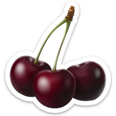 i want realistic black-stemmed dark cherries sticker