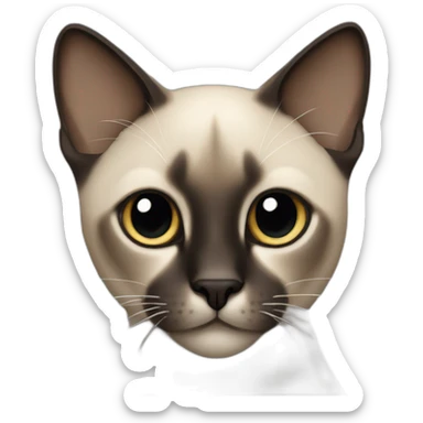 big siamese darker cat sticker
