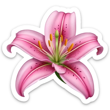pink lily flower sticker
