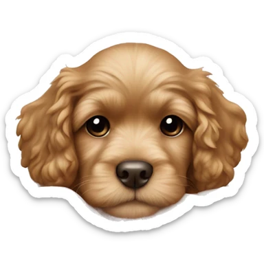 cute cockapoo puppy sleep in blanket sticker