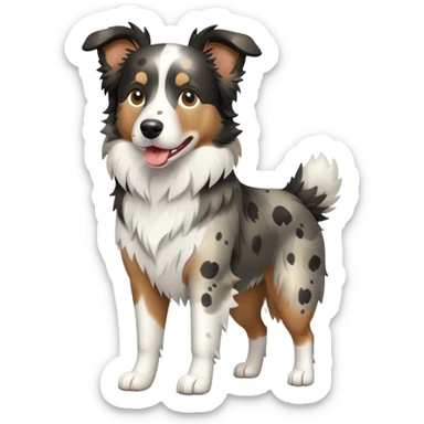 Merle Border Collie dog full body sticker
