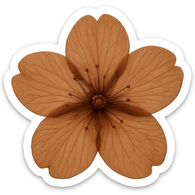 show  one brown cherry blossom without a stem , remove background sticker