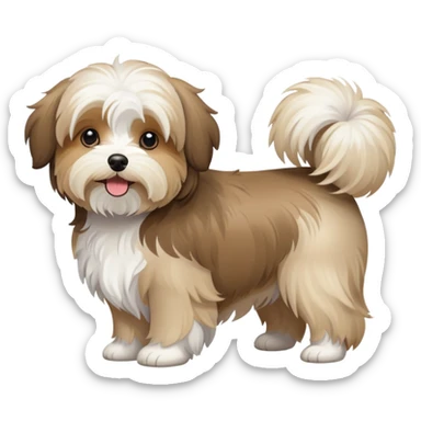 Tan havanese dog sticker
