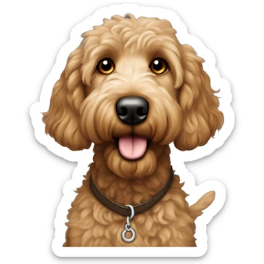 brown eye long eye-lashed short-fur male goldendoodle sweetie dog sticker