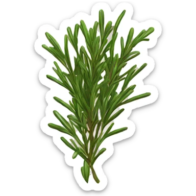 rosemary sticker