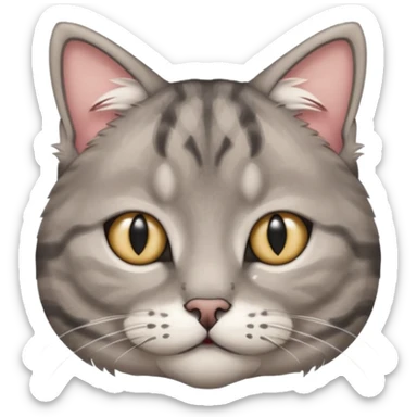 scottish cat with ears folded down sticker