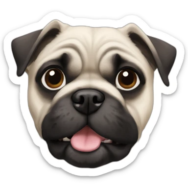 A pug cross bred with a schnauzer with fully white furr and brown eyes sticker