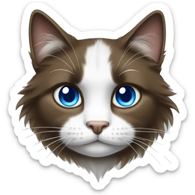 Long haired brown white and black cat with blue eyes sticker