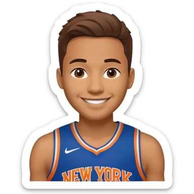 Smiley new york knicks sticker